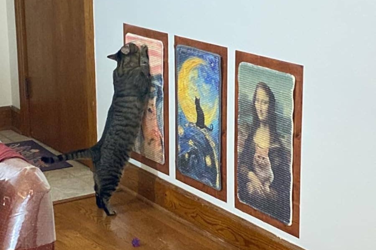 Cat scratches wall-mounted cardboard art with a cat and starry night, a cat on a famous painting, and more. Home, playful décor