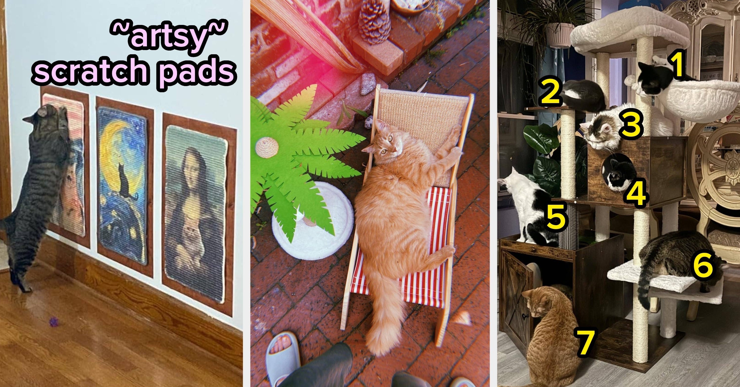 27 Actually Aesthetic Products For Cat Owners