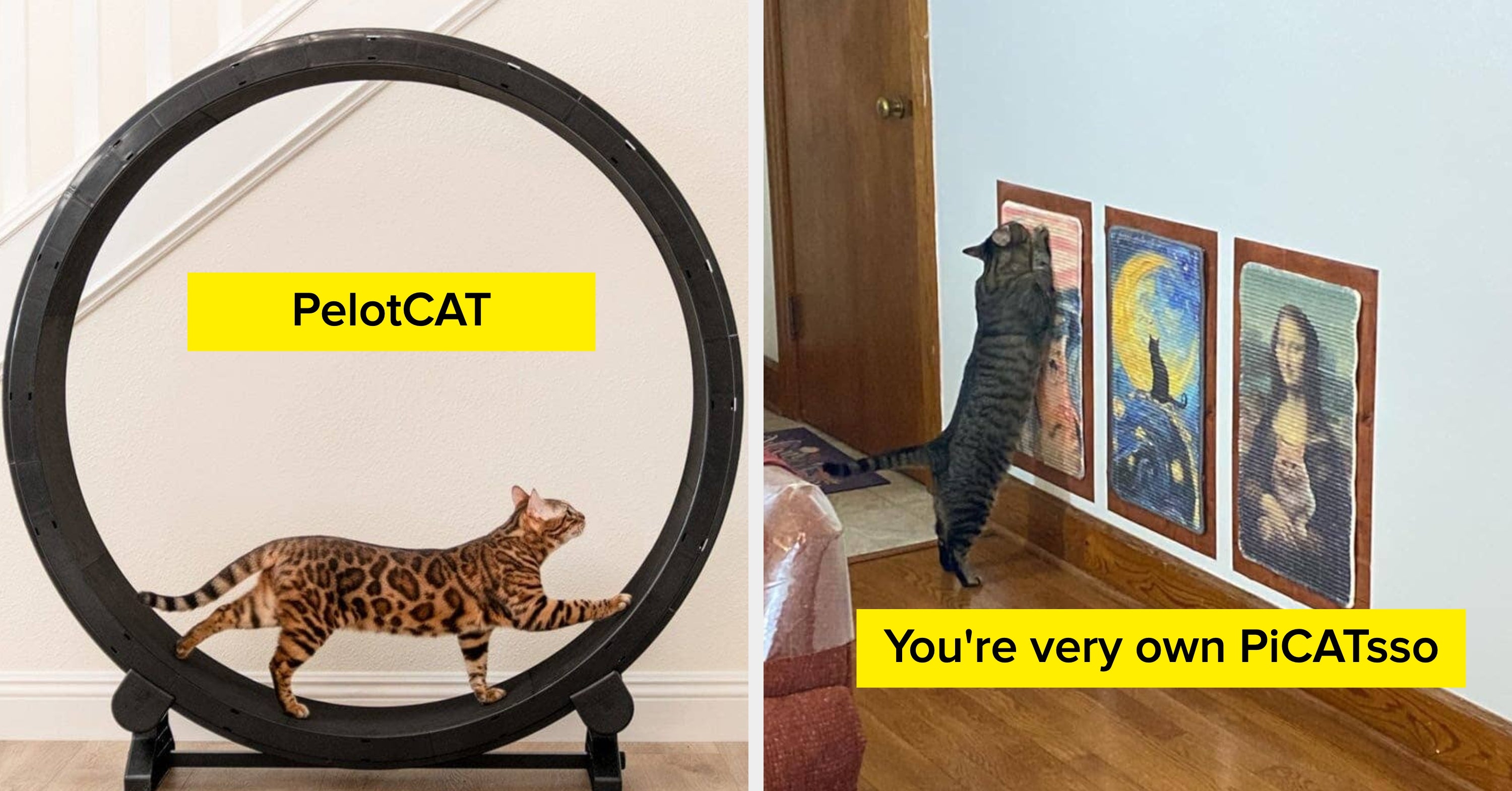 27 Useful Cat Products That Are Worth Every Penny