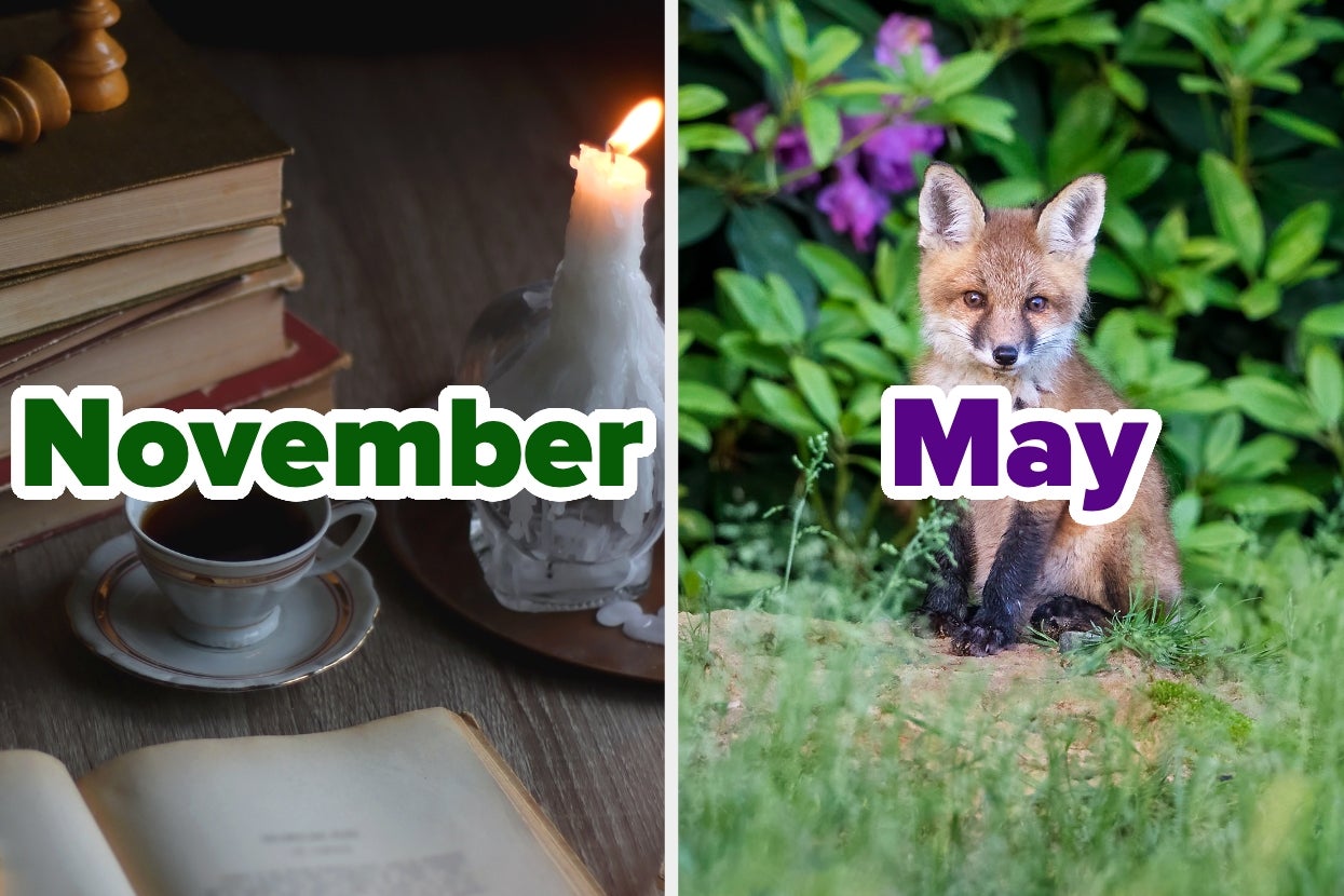 Split image: Left shows books, coffee, and a candle with "November." Right shows a fox cub in greenery with "May."
