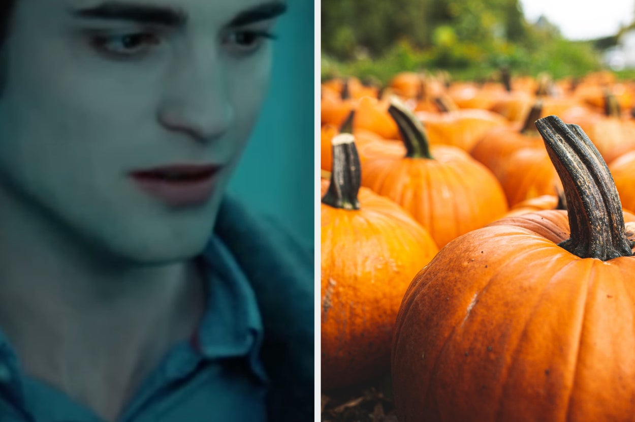 A person with a serious expression and a field of pumpkins are shown side by side