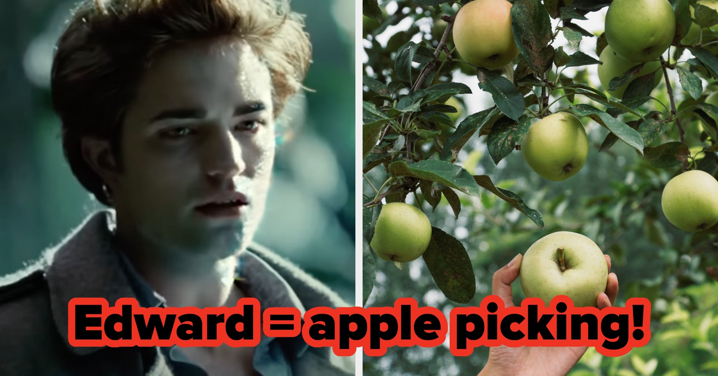 Take This "Twilight" Quiz To Find Out Which Fall Activity You Should Try This Year