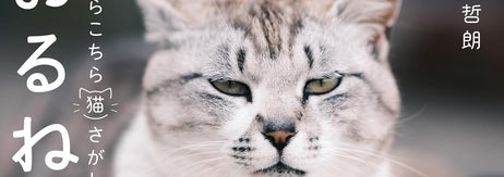『おるねおるね──あちらこちら猫さがし』（亜紀書房） / 画像はAmazonより