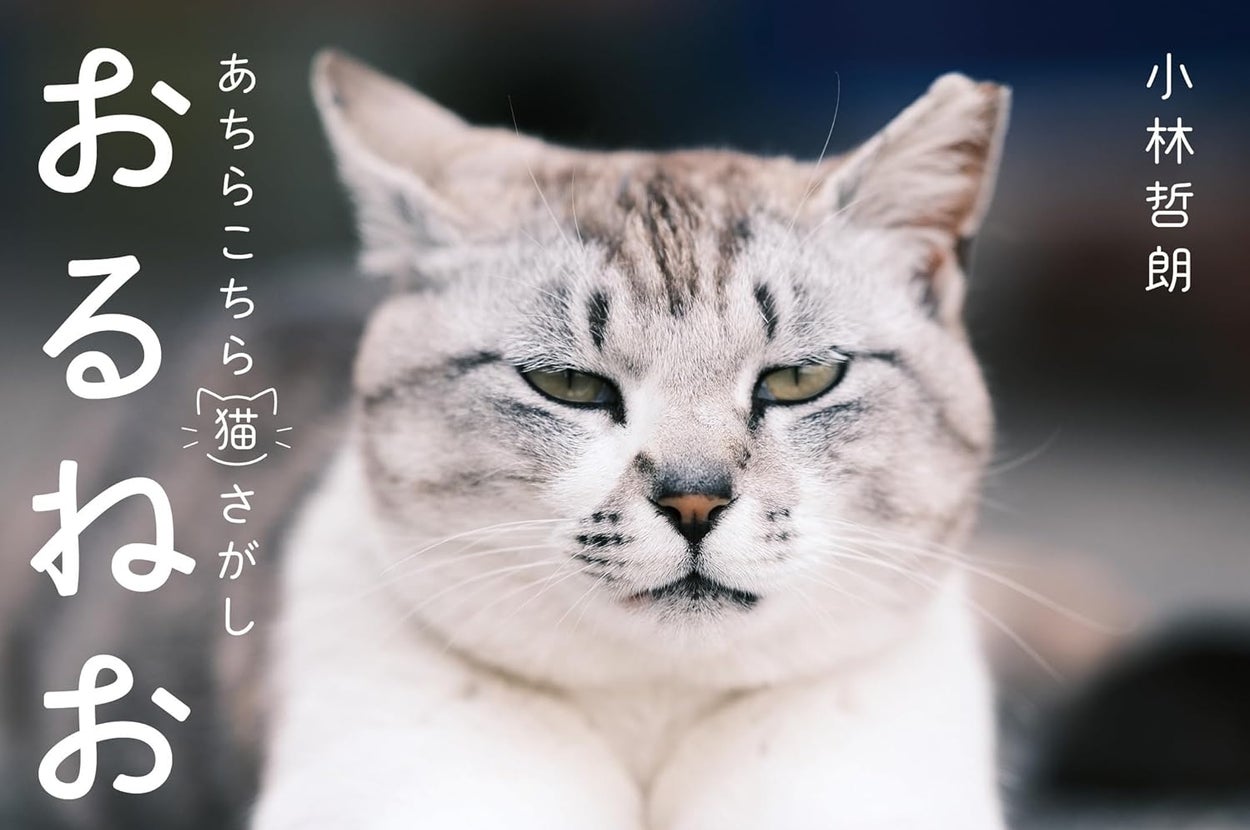 『おるねおるね──あちらこちら猫さがし』(亜紀書房) / 画像はAmazonより