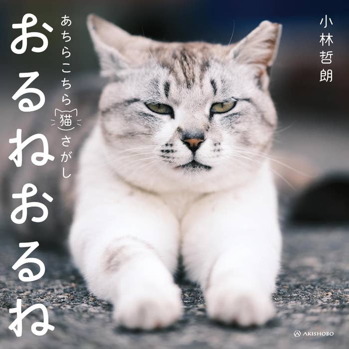『おるねおるね──あちらこちら猫さがし』(亜紀書房) / 画像はAmazonより