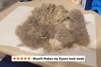 Dust and ungraded connected a insubstantial towel placed connected a countertop, adjacent to cleaning supplies including gloves and a brush