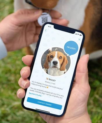 A smartphone displays a favored tracking app showing a dog's profile. The surface reads,