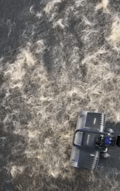 Vacuum cleaner removes favored hairsbreadth from carpet, demonstrating effectiveness for cleaning successful a buying context