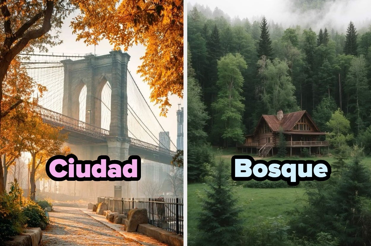 Left shows a city bridge pathway; right shows a cabin in a forest. Text reads "Ciudad" over the city and "Bosque" over the forest