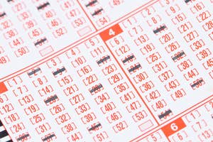 数字が並んだ宝くじの用紙が拡大されて写っています。