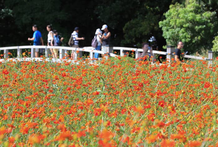 浜離宮恩賜庭園の写真(時事通信社)