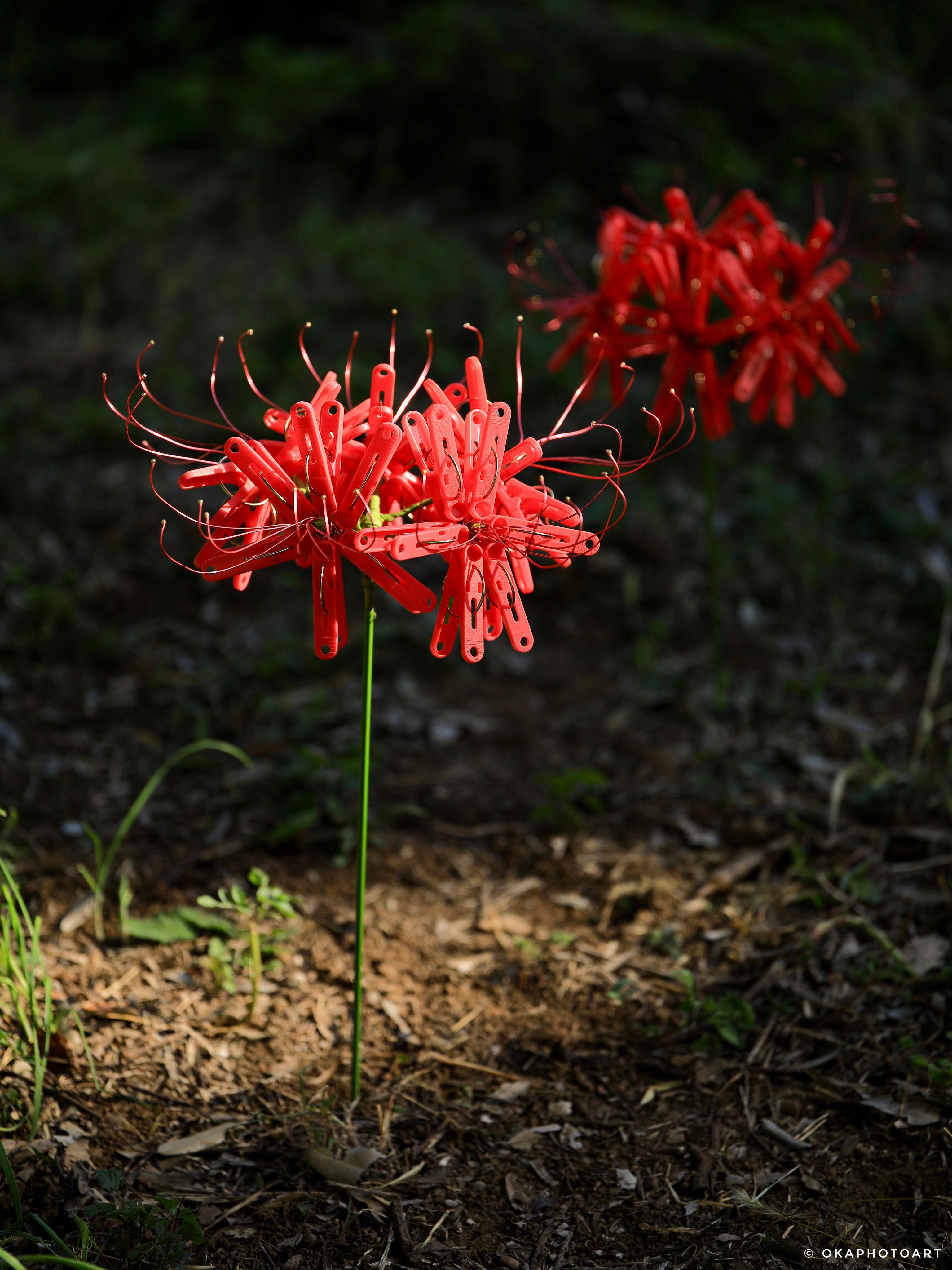 日本画　彼岸花 1_84c1b913ff028bee9095b8e5b3fd