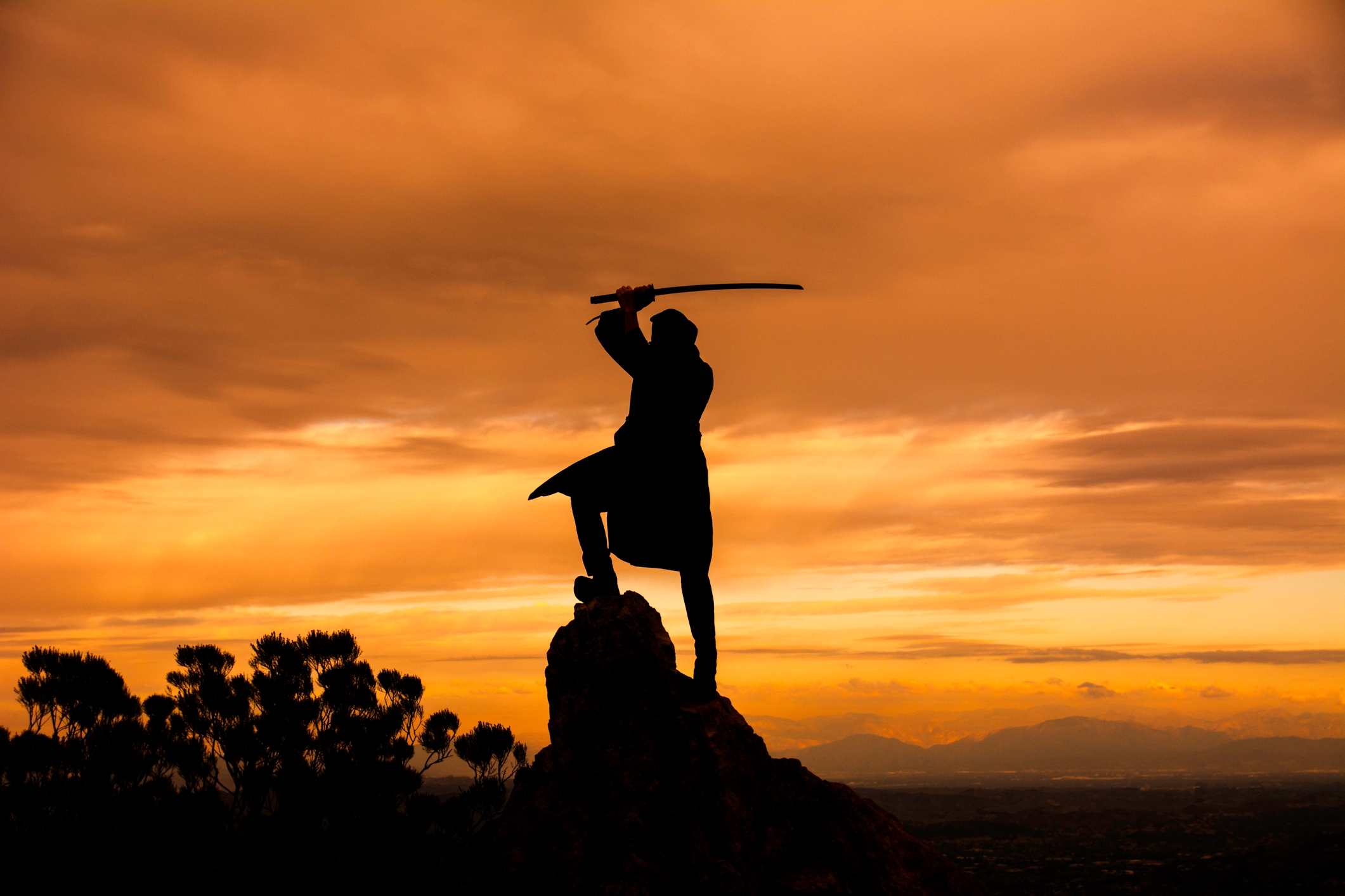 Silhouette of a person on a rock, holding a sword aloft against a dramatic sky backdrop