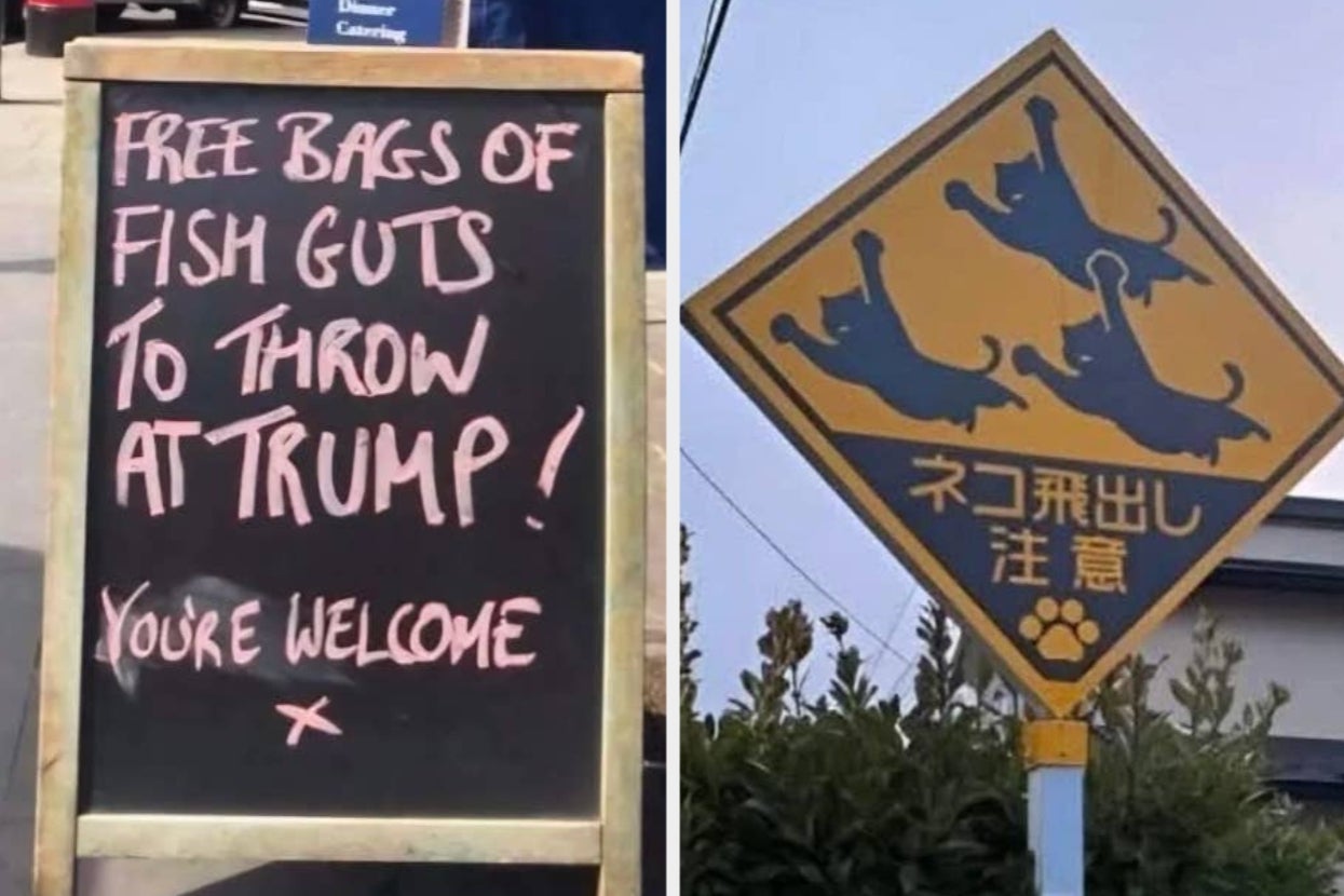 A sign offers free bags of fish guts "to throw at Trump," next to a caution sign with cartoon cats