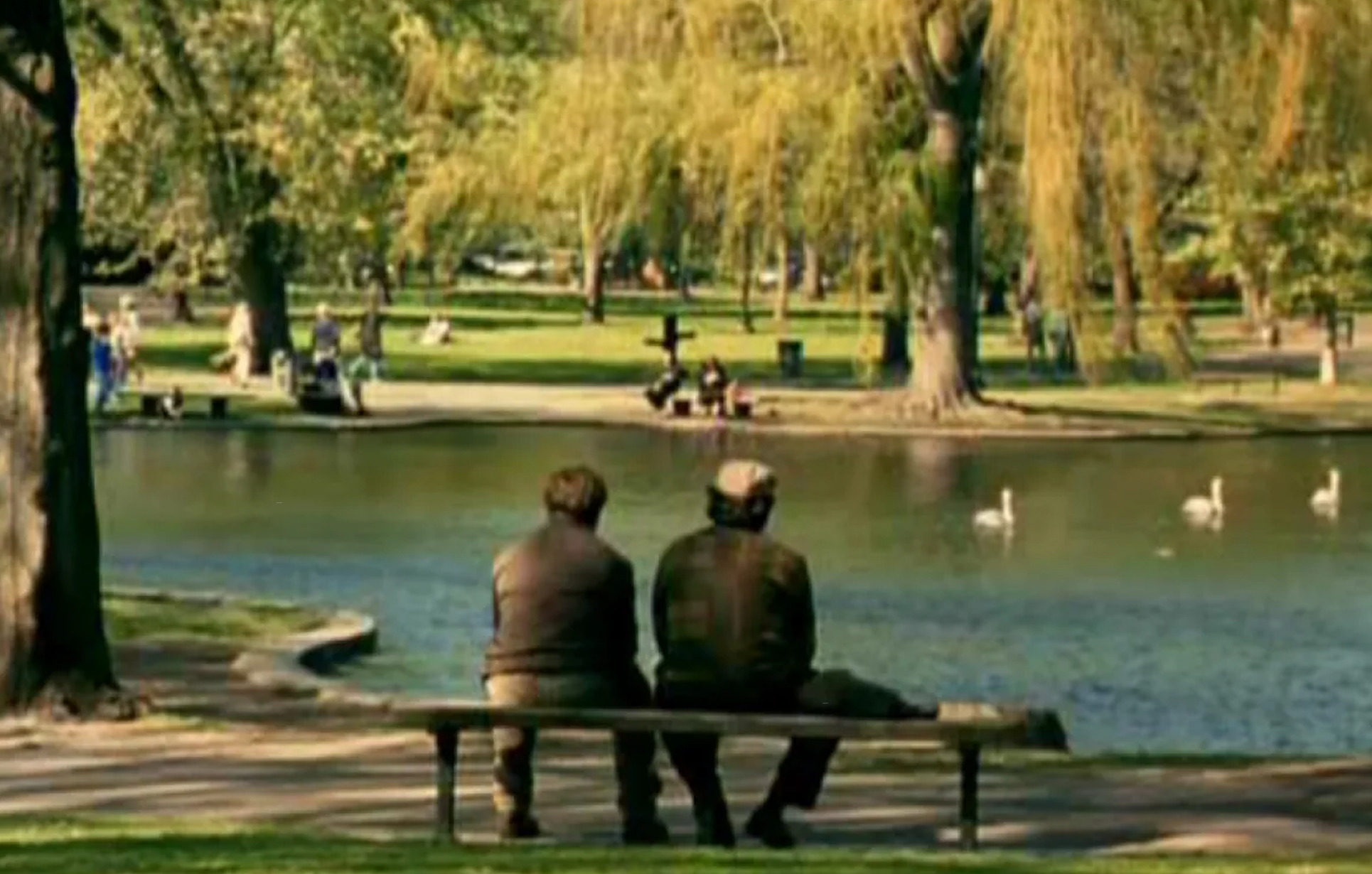 Two people sit on a bench in a park, facing a pond with swans and surrounded by trees