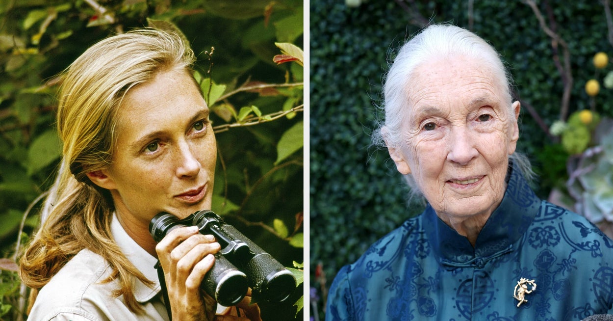 Jane Goodall, The World’s Most Famous Primatologist, Has Died At 91