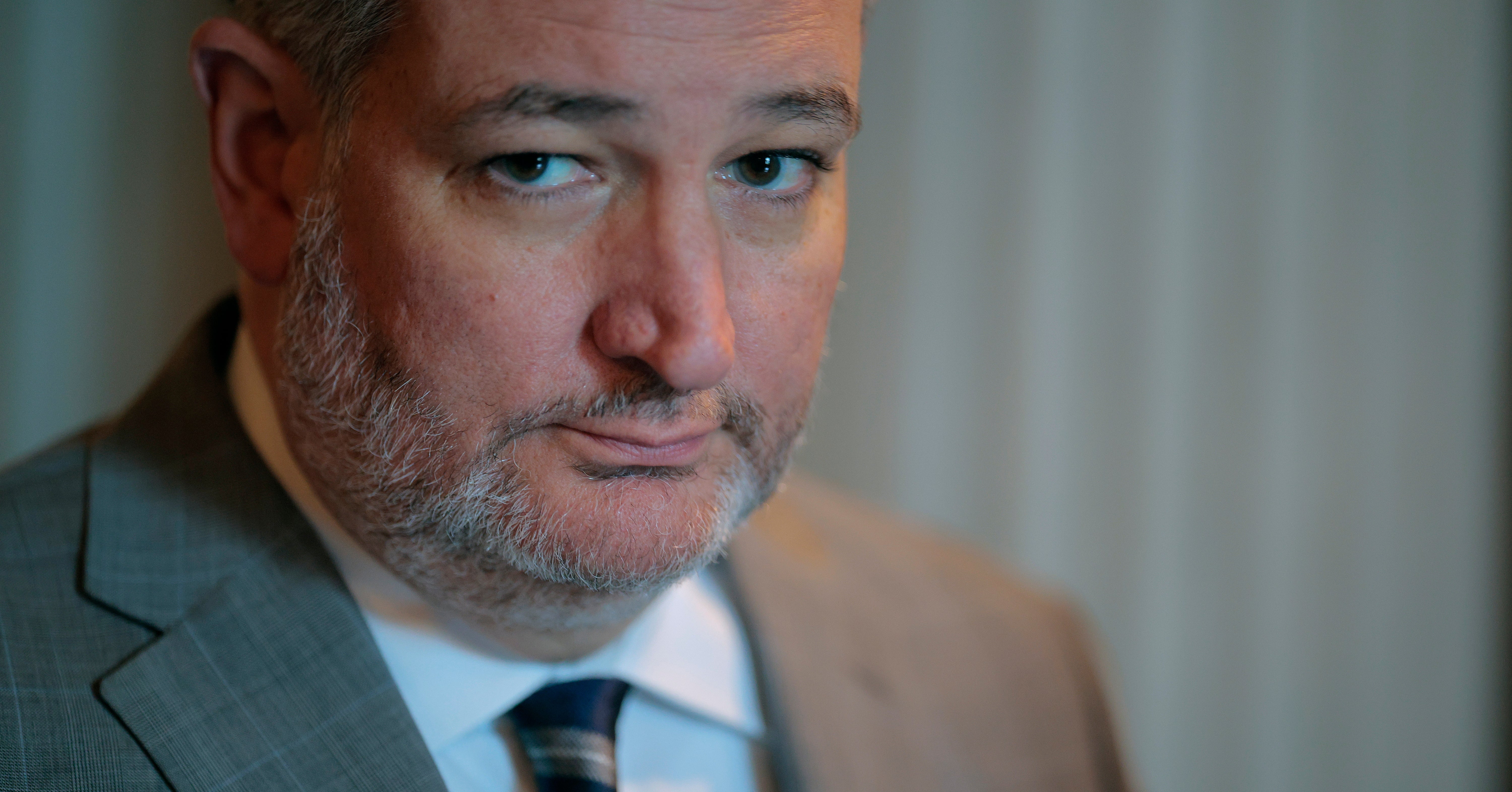 Ted Cruz's Embarrassing Senate Gaffe Goes Viral
