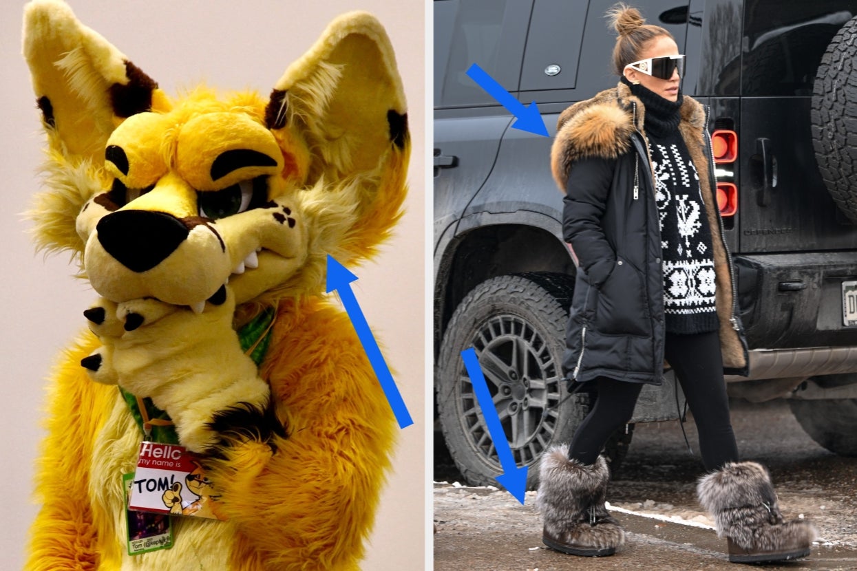 Furries, Tell Us What You Wish People Knew About The Furry Community