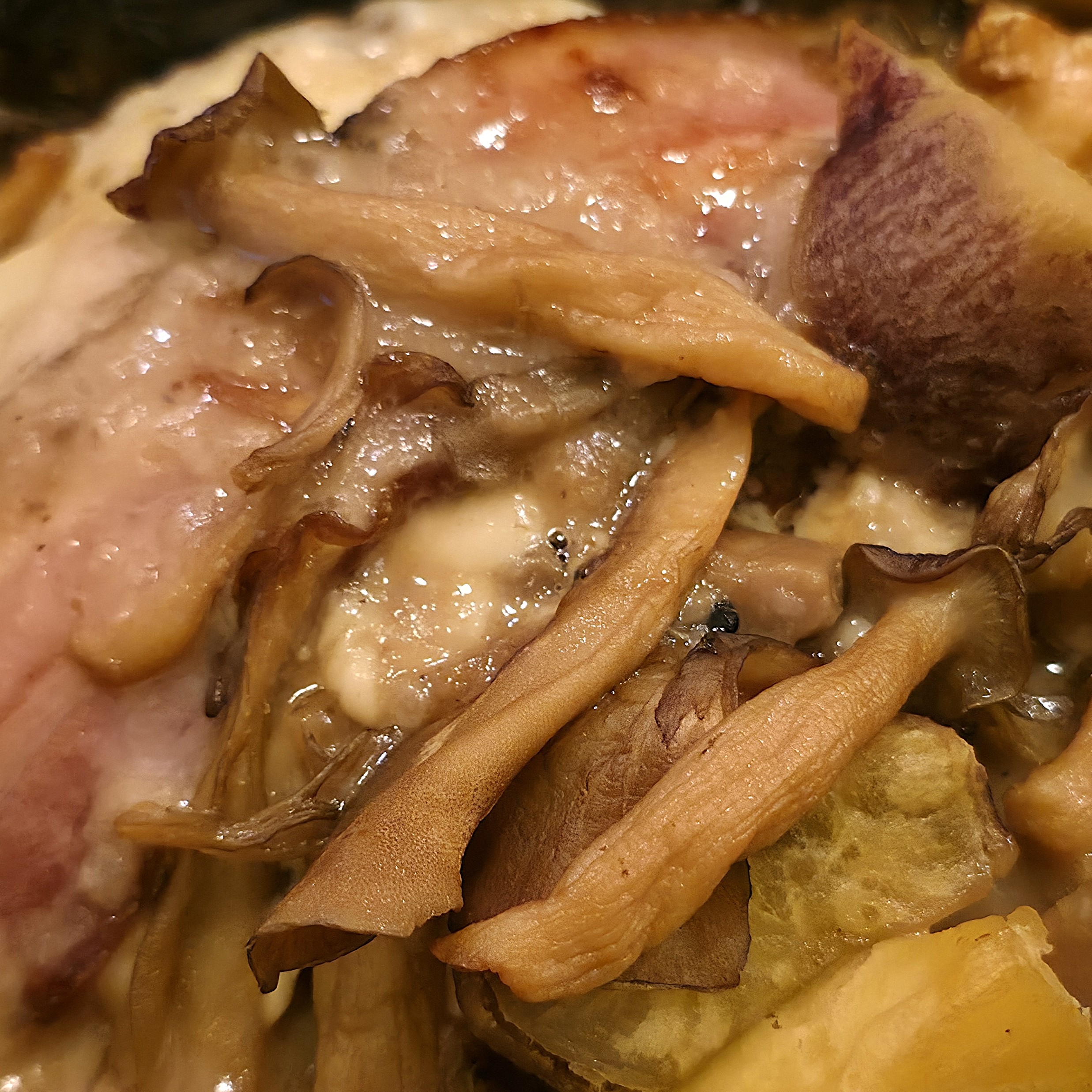 COCO&#x27;S（ココス）「きのこと燻製ベーコンのクリーム包み焼きハンバーグ ライスorパン付き」