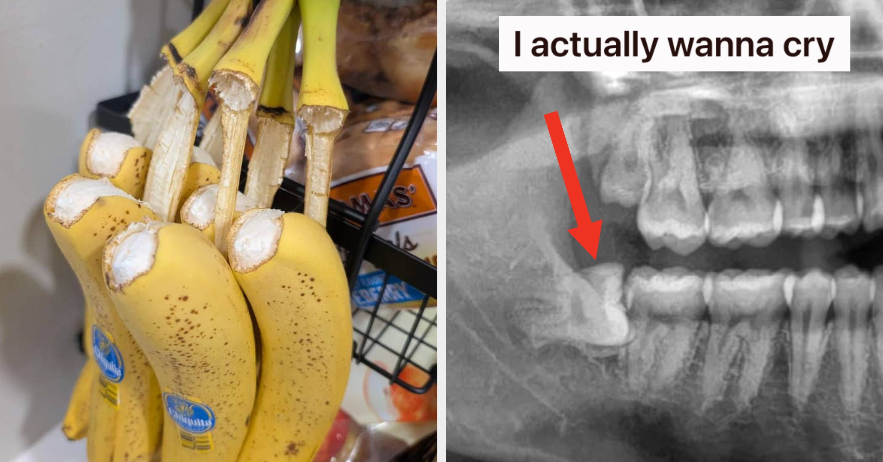 15 Really Crappy Things You Won't Believe Actually Happened To People