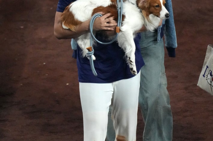 野球選手がシャツとスポーツパンツを着て、犬を抱えて微笑んでいる。後ろに少人数の観客がいる。