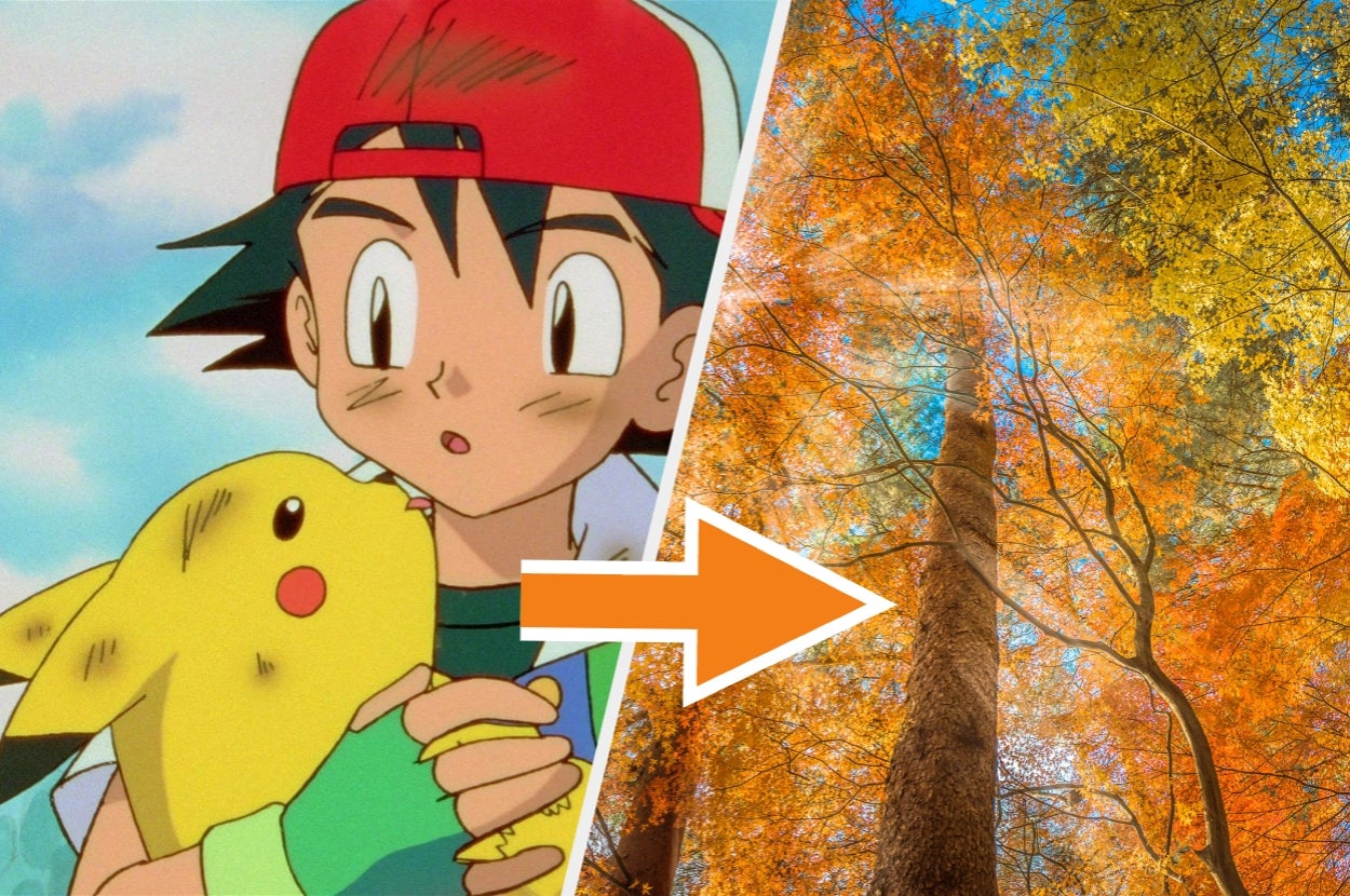 Animated character holding a small creature next to an arrow pointing to a tall tree seen from below
