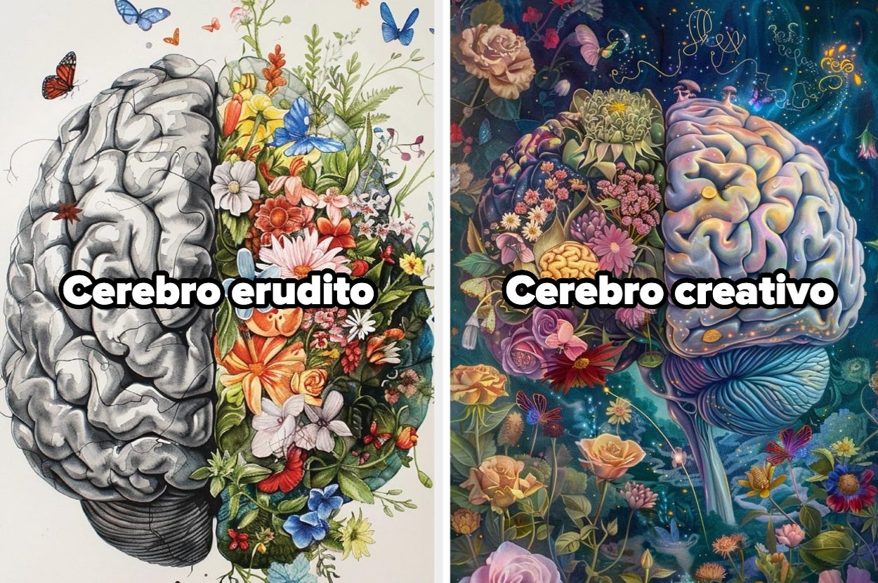 Ilustración de dos cerebros: izquierdo con flores realistas, titulado "Cerebro erudito"; derecho con arte abstracto y fantasioso, titulado "Cerebro creativo"