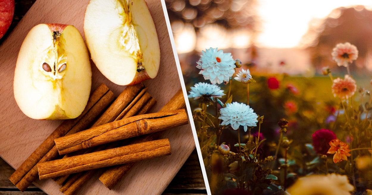 Fall Vs Spring: What Your Autumn Preferences Reveal