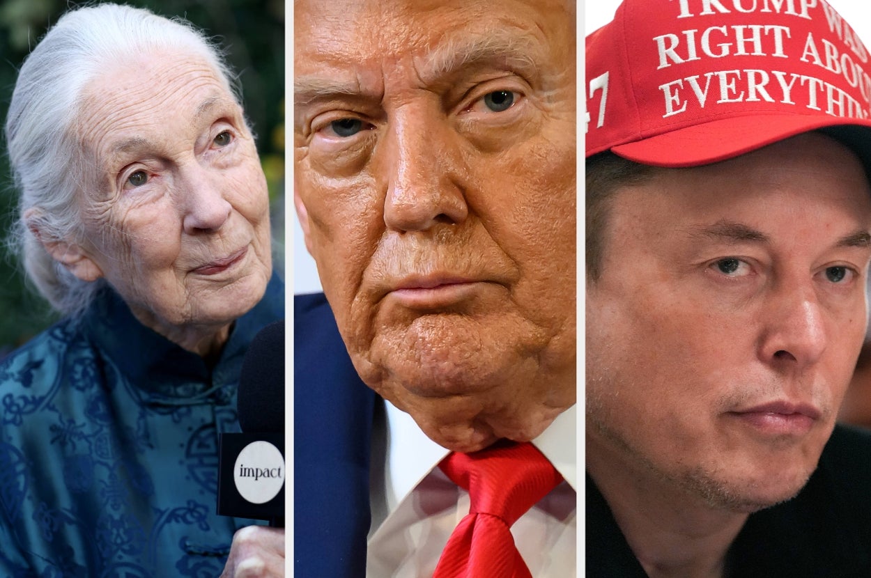 Jane Goodall Called Out Trump And Elon Musk In A Posthumously Aired Interview, And It's Going Viral