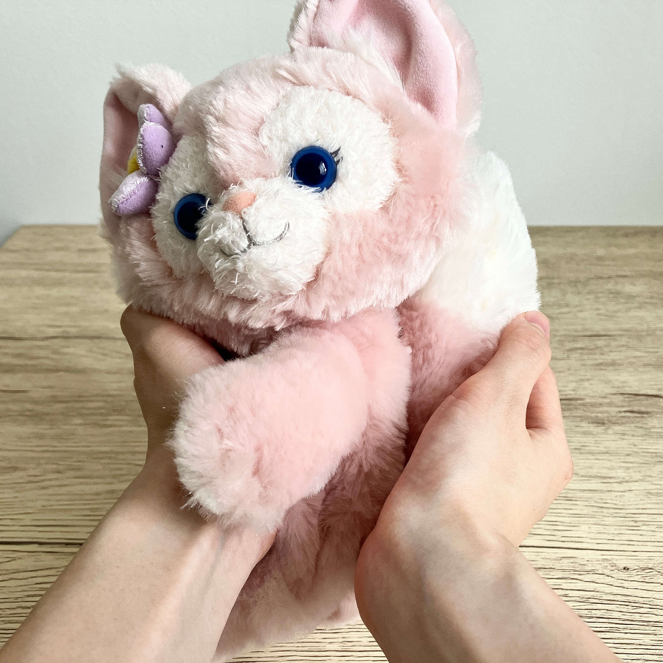 待って、さすがに可愛すぎる…。ディズニーシーで買った「ぬいぐるみの