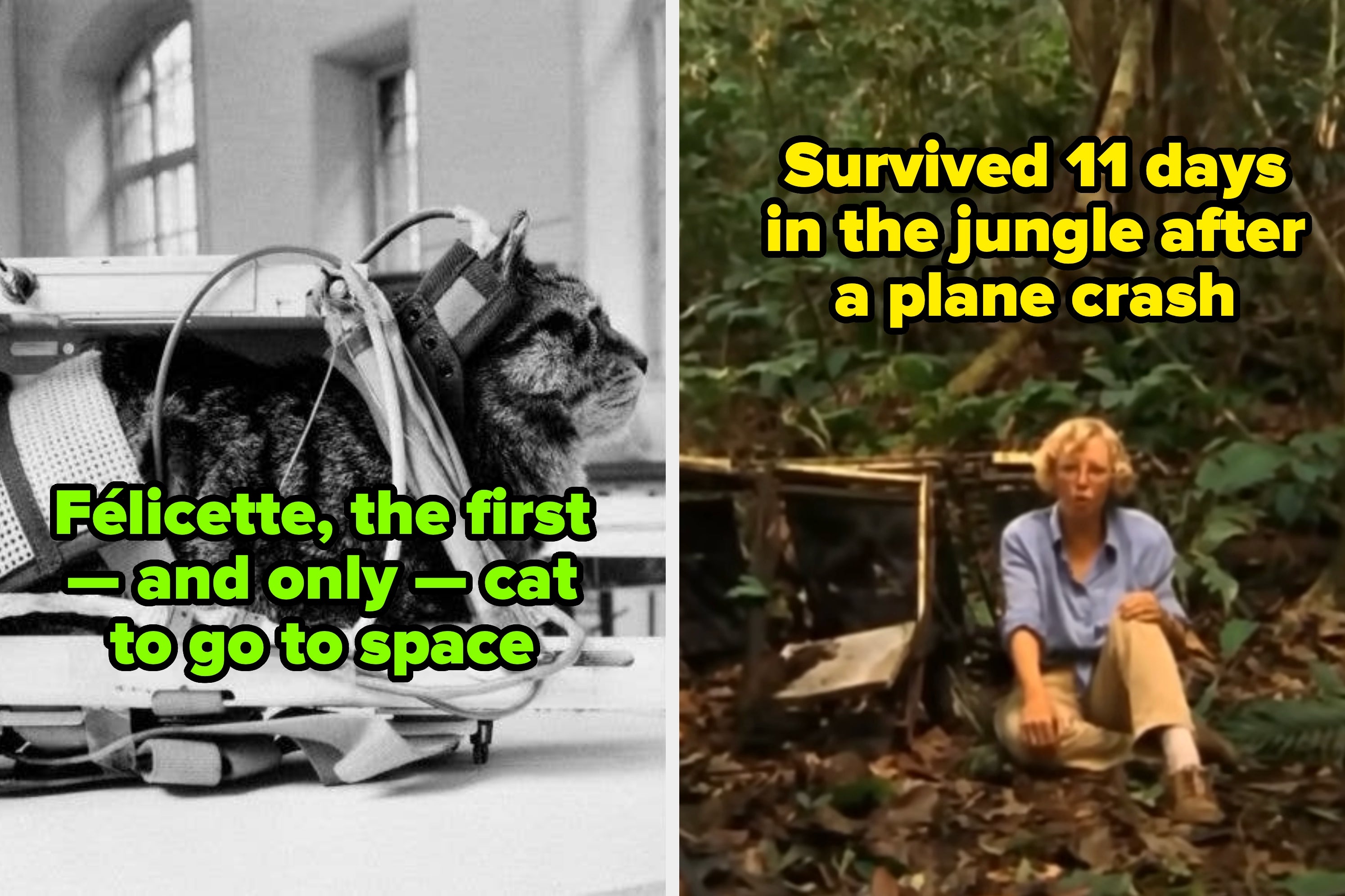 27 Shocking Historical Facts That Range From Disturbing To Just Really, Really Weird