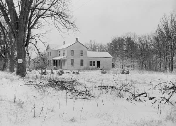 Snow-covered rural house surrounded by bare trees in winter landscape. Sparse foliage and branches lay on the ground