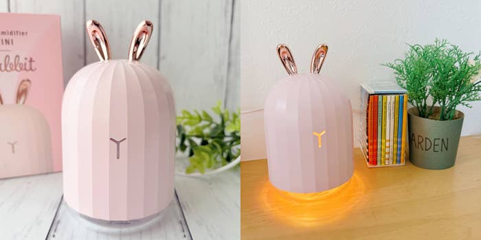 ずっと見てられる」フランフランの“激かわ加湿器”に一目惚れ！「買って