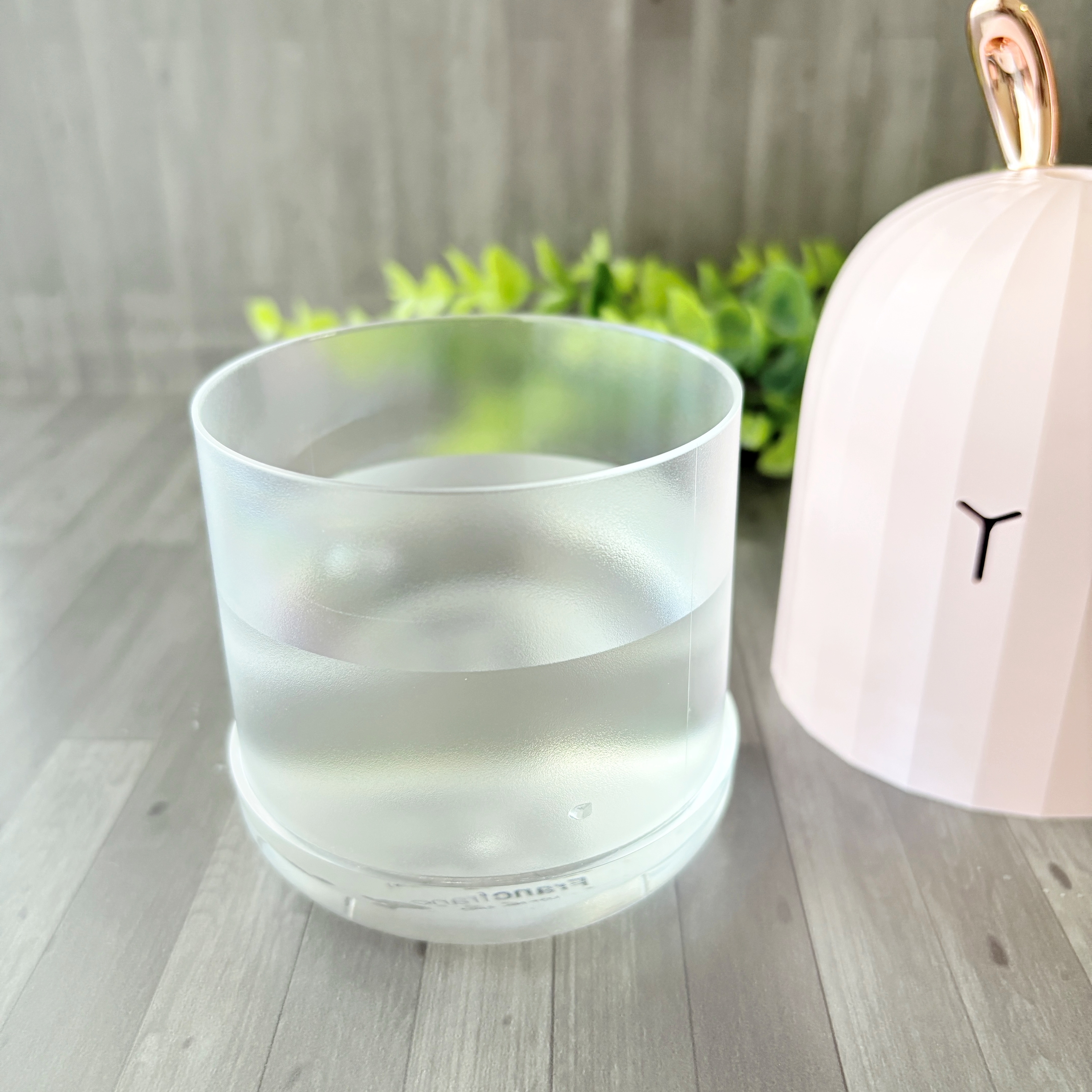 ずっと見てられる」フランフランの“激かわ加湿器”に一目惚れ！「買って