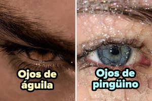Close-up de dos ojos: uno marrón con texto "Ojos de águila" y otro azul claro con burbujas, texto "Ojos de pingüino"