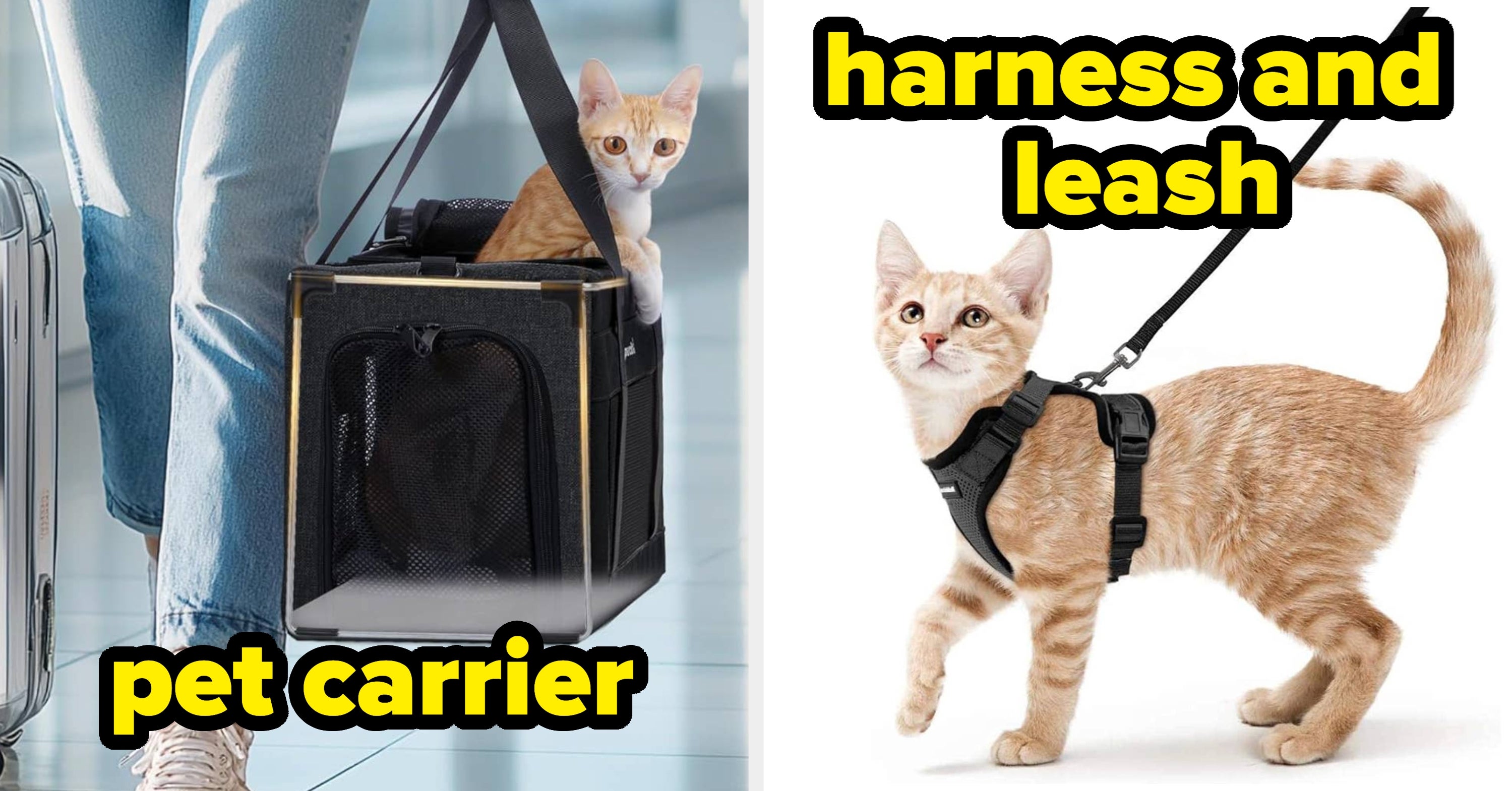 As Someone With Two Cats, Here Are The Fall Prime Day Pet Deals I Think Are Worth It