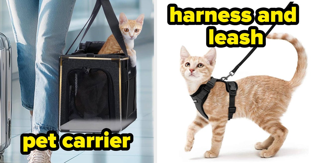 As Someone With Two Cats, Here Are The Fall Prime Day Pet Deals I Think Are Worth It