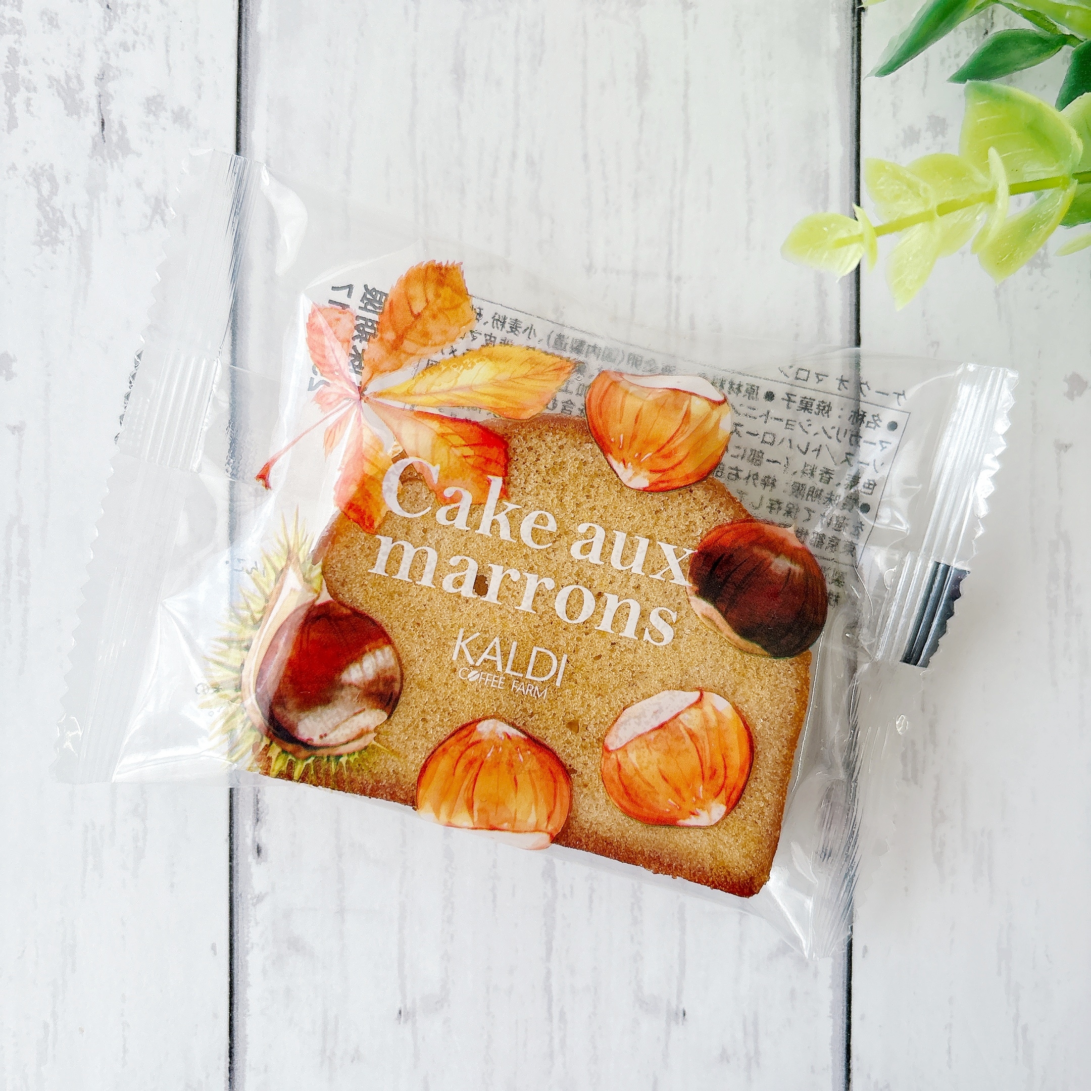 【アップルパンさま専用】 アドキュート&アドパッション1セット アドパッション アップルパンさま専用】 アドキュート&アドパッション1