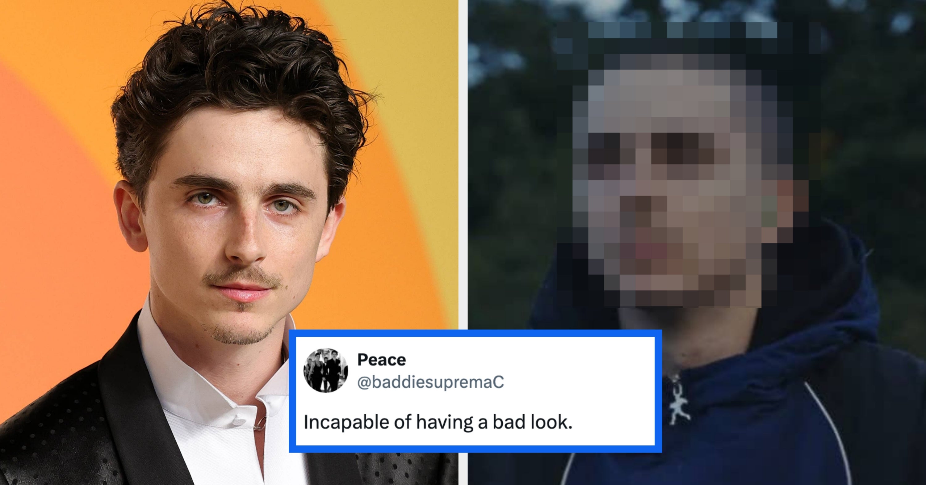 Timothée Chalamet FINALLY Unveiled His Shaved Head, And I’m Not Sure Any Of Us Were Prepared For This Transformation