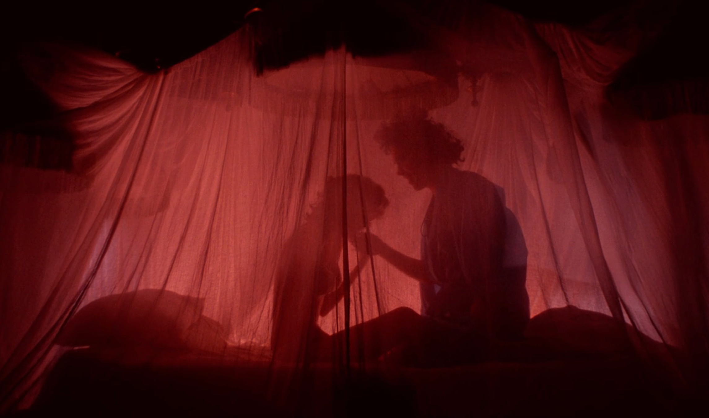 Two silhouettes seated side by side in a canopy bed under mosquito netting, suggesting a tender or intimate moment