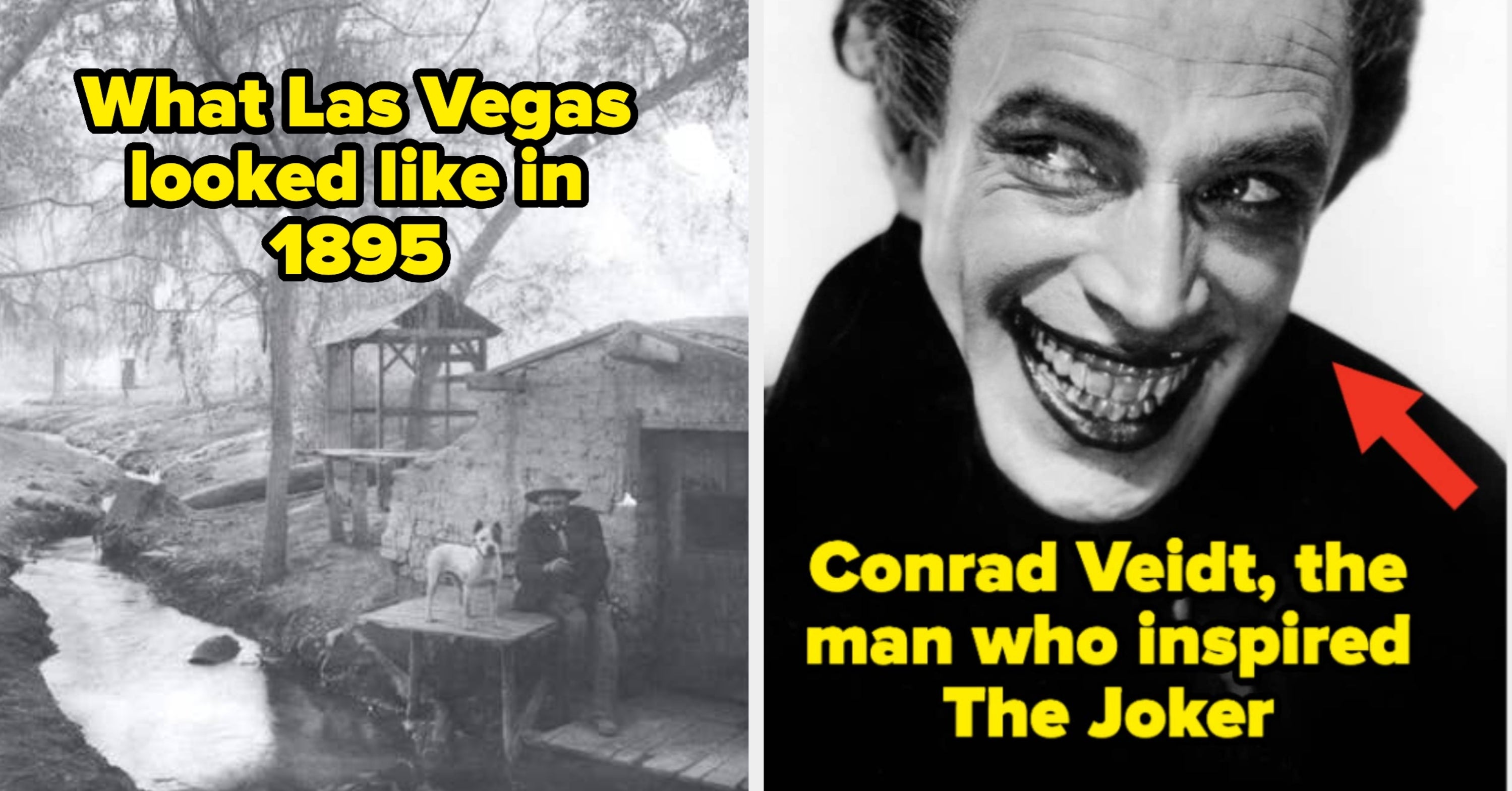 I am If truth be told Suffering To Shape Phrases After Seeing Those 25 Completely Thoughts-Blowing Pictures That Totally, Utterly, And Completely Shattered My Little Peanut Mind Ultimate Week