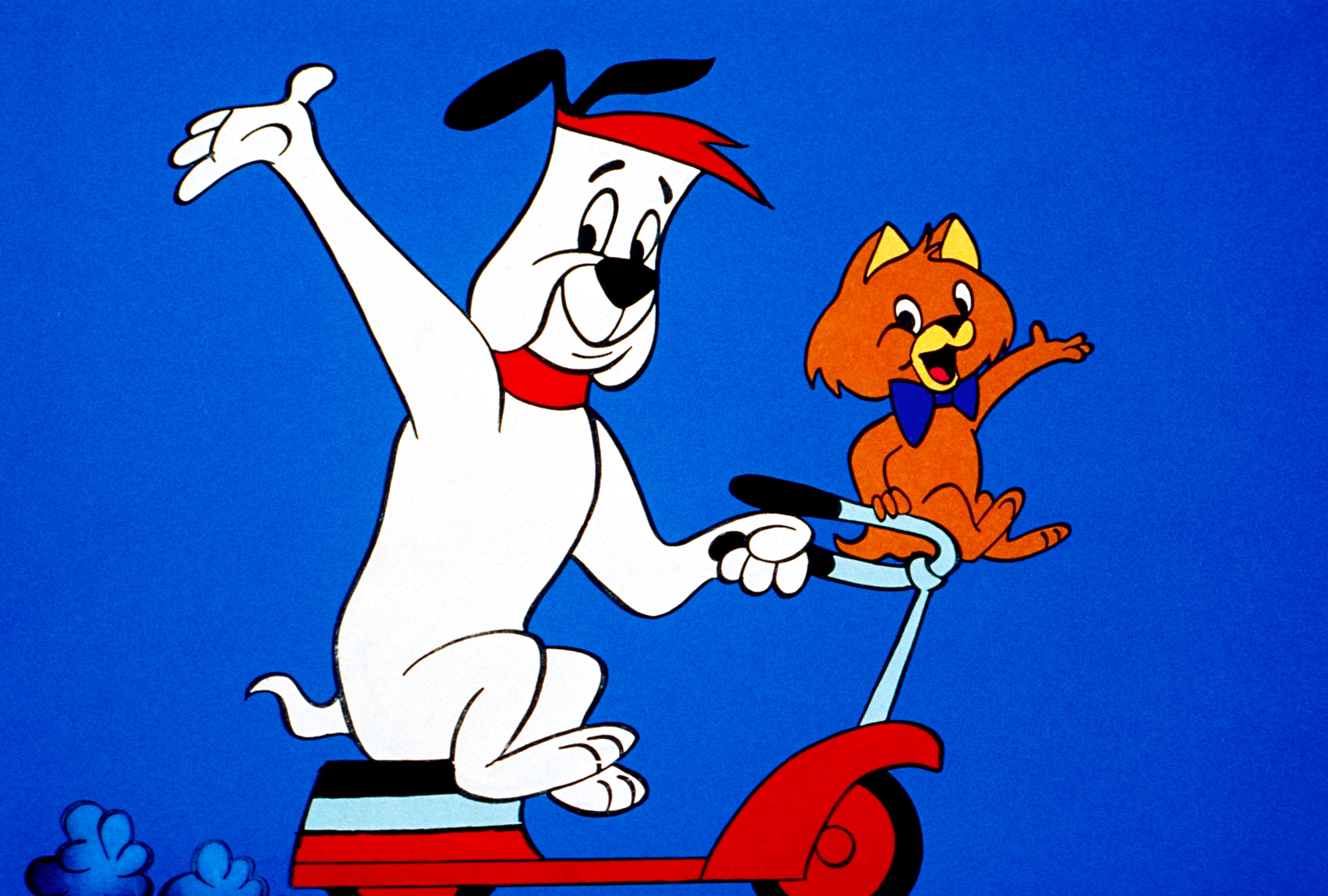 Why Does Yogi Bear Wear A Tie?, image size:2667x1800