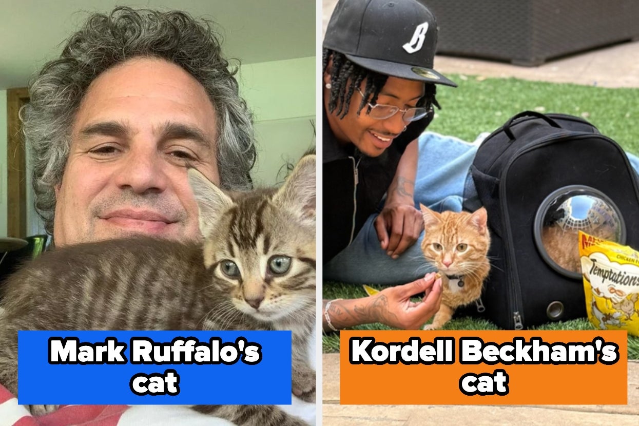 Two images: Left shows a man with a tabby cat. Right shows a man petting an orange kitten beside a backpack-style pet carrier