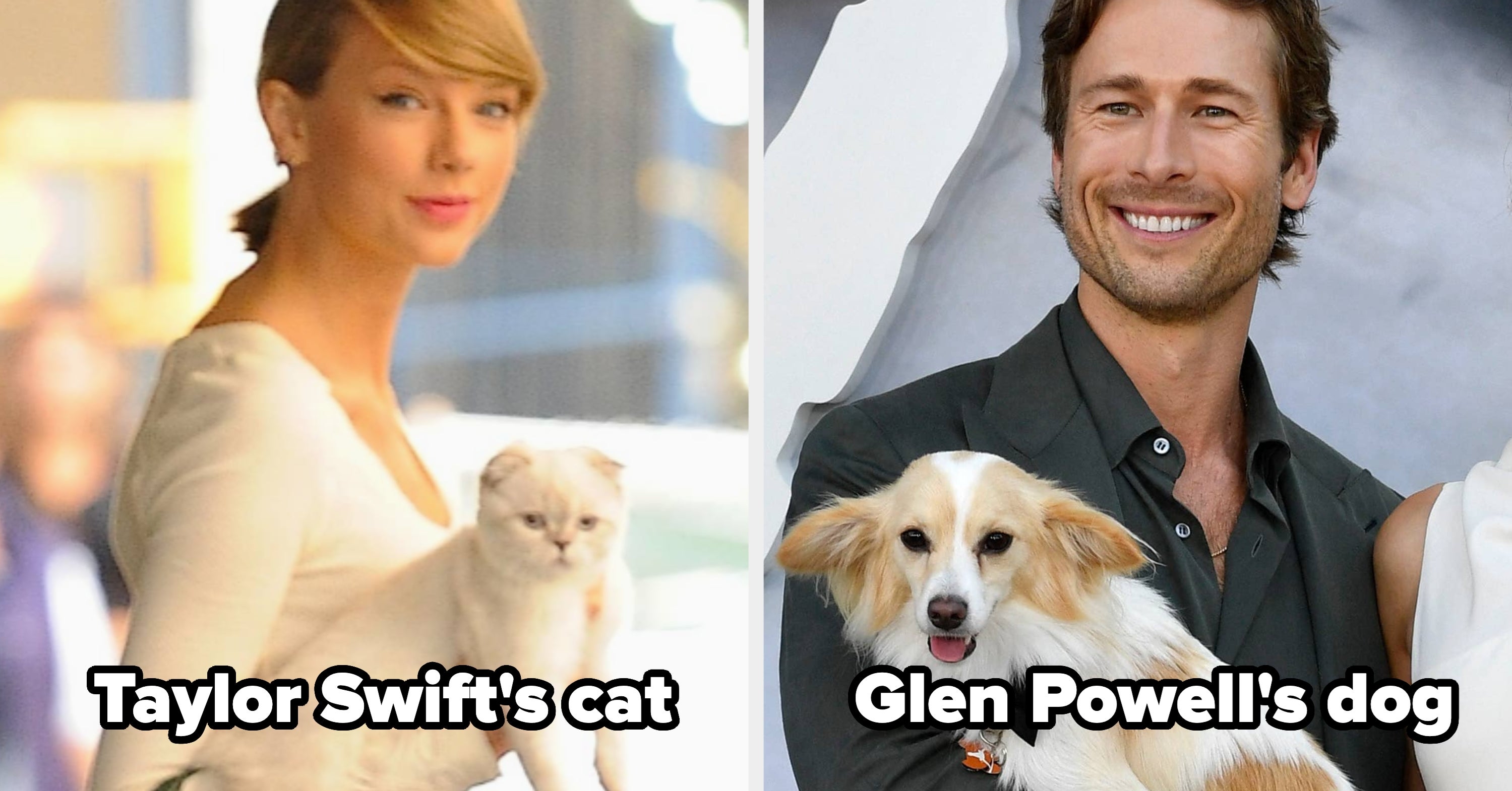 If You Can Identify Even 12/13 Of These Celebrity Pets, You've Got Elite Pop Culture Knowledge