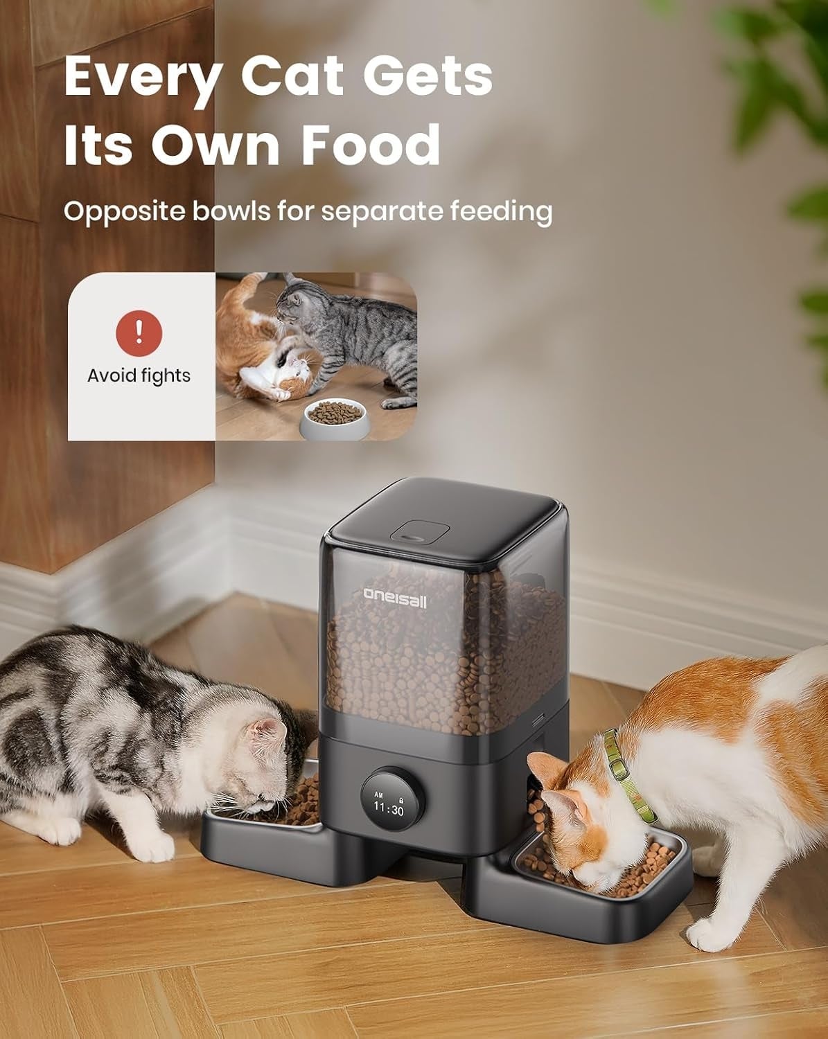 Automatic pet feeder with two cats eating from separate bowls