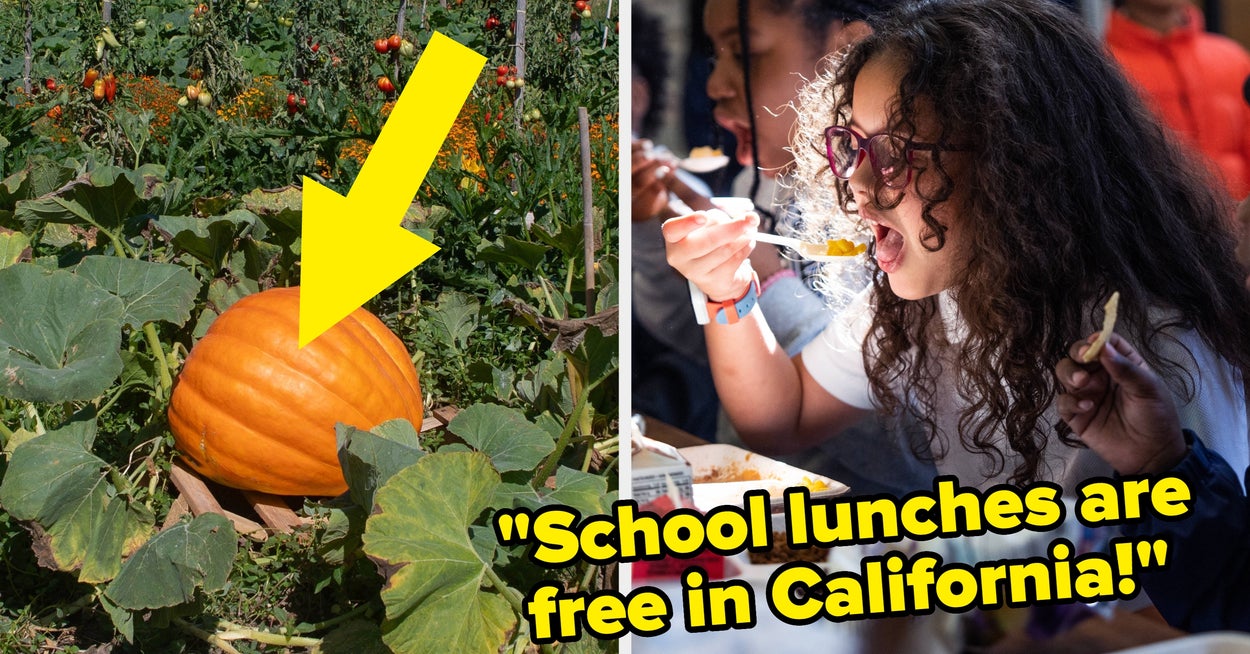People Are Sharing Positive Things Happening In The US, From Free School Lunches To Beating Cancer