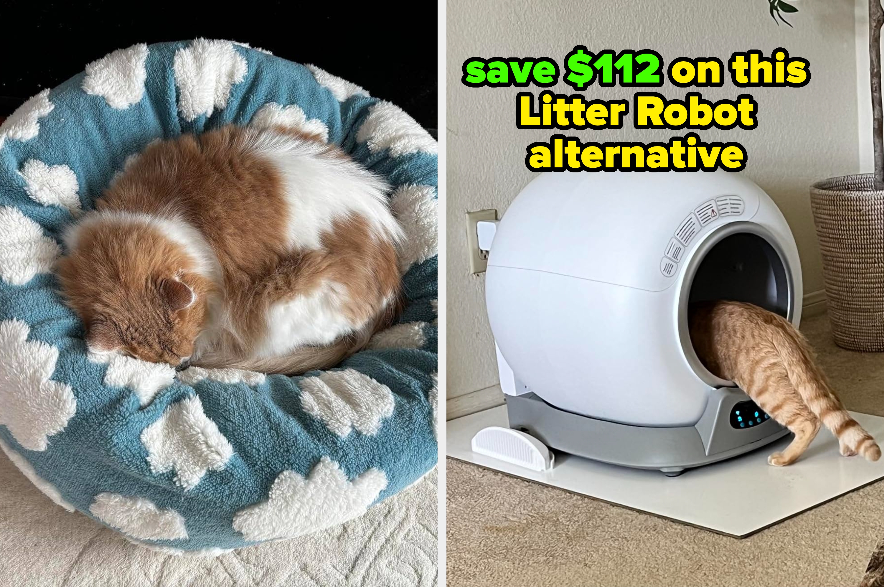 Cat enjoys treat while another uses an alternative to Litter Robot; text highlights $112 savings on the product
