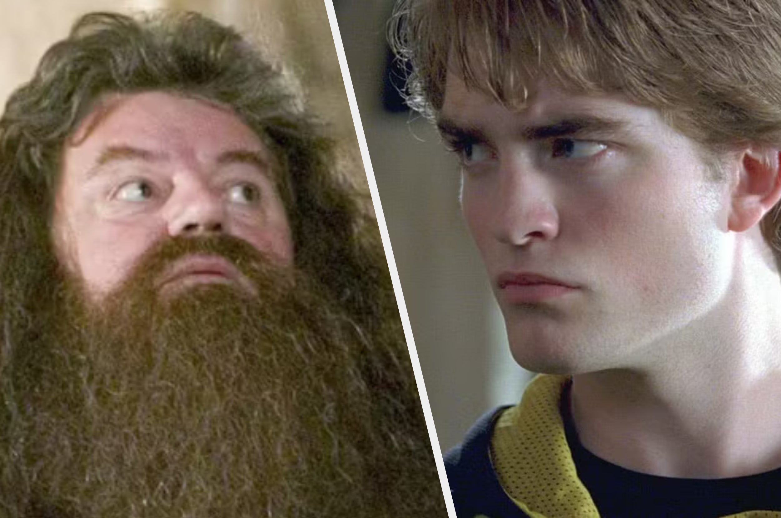 Two characters from a fantasy film series, one with a long beard looking upwards, the other with short hair, frowning and wearing a robe
