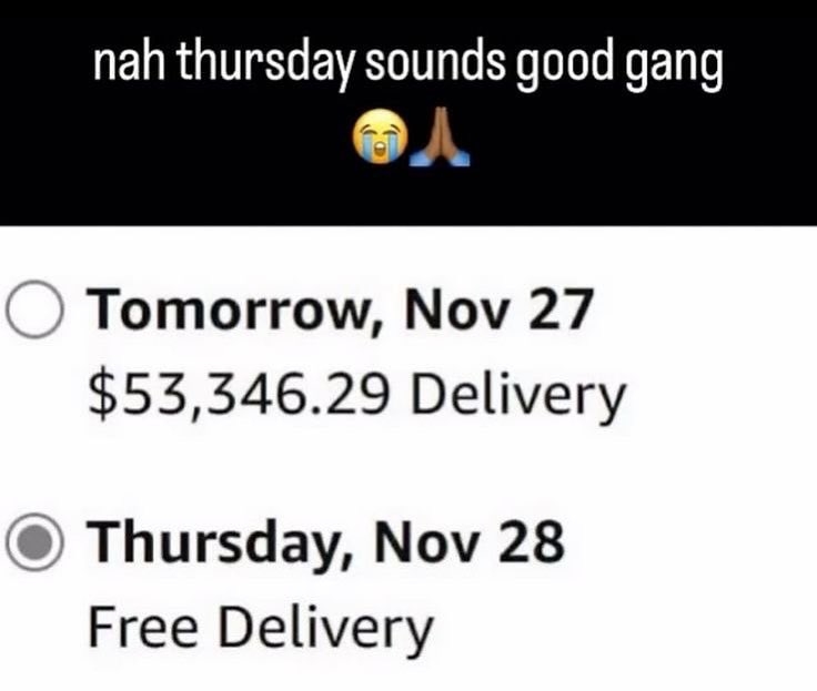 Text conversation joking about a choice between an expensive delivery on Nov 27 and a free delivery on Nov 28