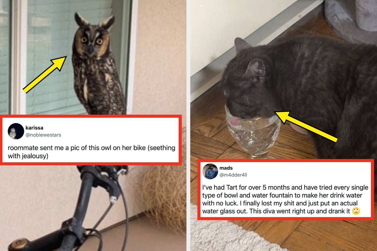 17 Incredibly Wholesome Internet Posts From This Week That Will Make Your Cold, Dead Heart Feel Something Again